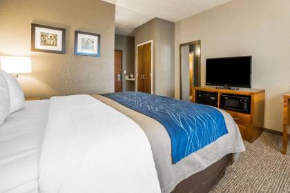 Comfort Inn & Suites Cheyenne - image 3