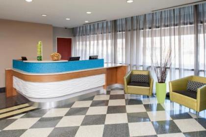 SpringHill Suites by Marriott Chicago O'Hare - image 4