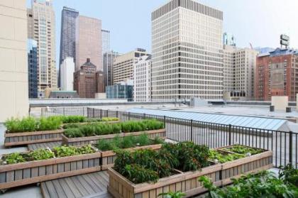 Chicago Marriott Downtown Magnificent Mile - image 5