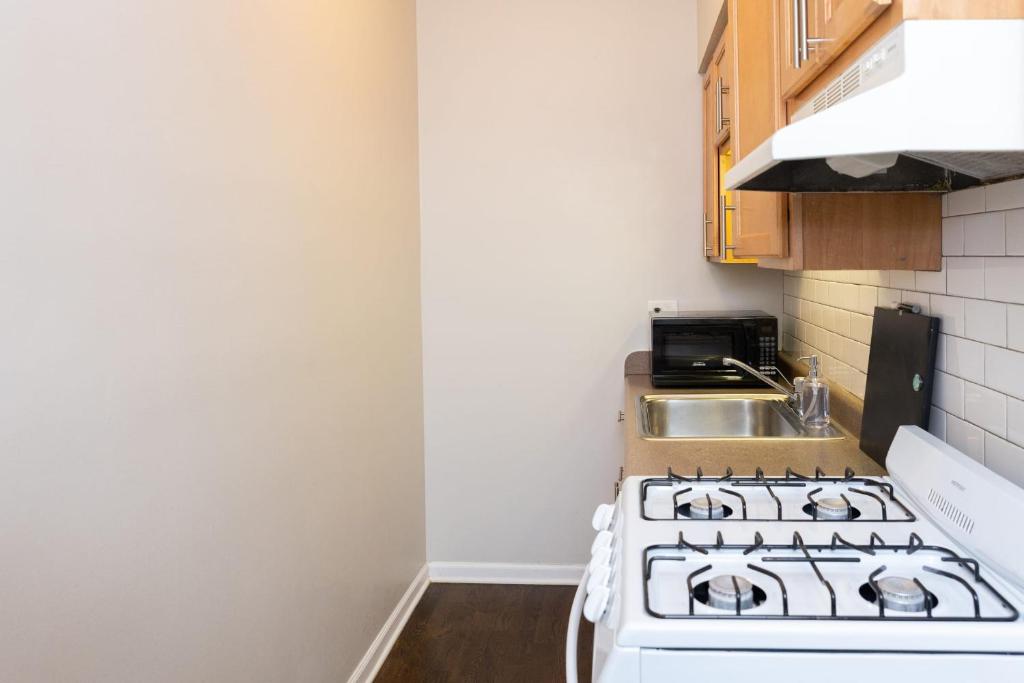 Classic HP 1BR with Fast Transit to UChicago & DT by Zen Rentals - image 5