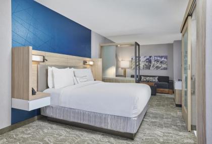 SpringHill Suites by Marriott Chicago Chinatown - image 5