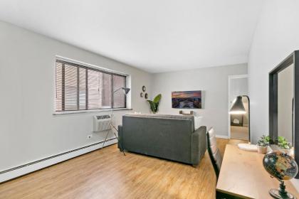 Stunning Solo/Couple 1BR Center of Lakeview Wifi - image 10