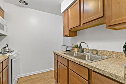 Stunning Solo/Couple 1BR Center of Lakeview Wifi - image 13