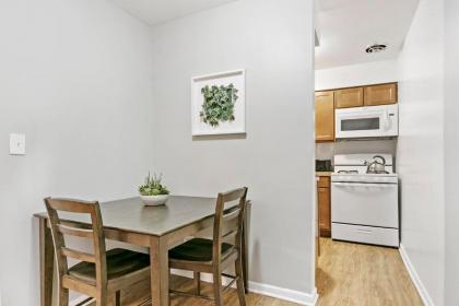 Stunning Solo/Couple 1BR Center of Lakeview Wifi - image 4