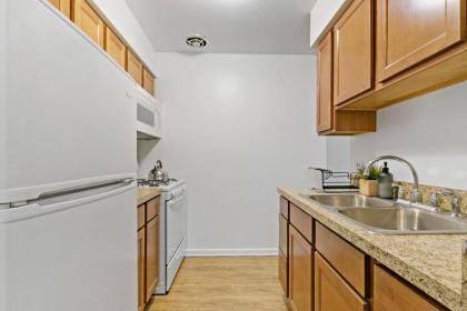 Stunning Solo/Couple 1BR Center of Lakeview Wifi - image 7