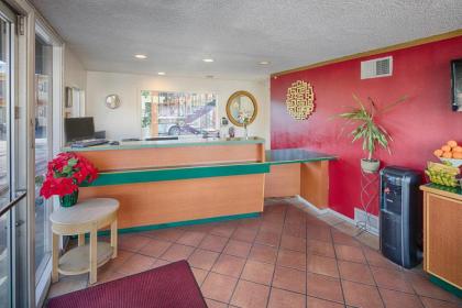 University Inn - image 5