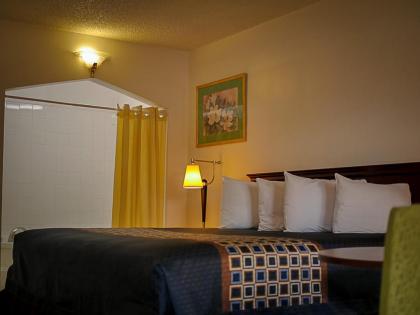 Americas Best Value Inn - Chico - image 2