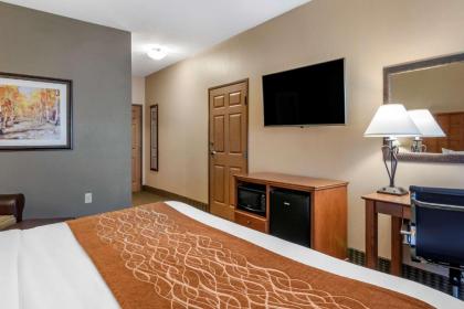 Comfort Inn & Suites Chillicothe - image 14