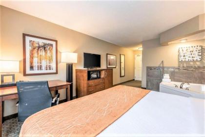 AmeriVu Inn and Suites - Chisago City - image 12