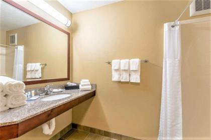 AmeriVu Inn and Suites - Chisago City - image 9