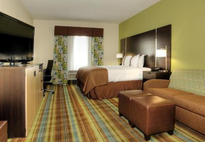 Holiday Inn Christiansburg Blacksburg an IHG Hotel - image 12