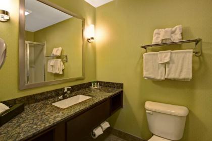 Holiday Inn Christiansburg Blacksburg an IHG Hotel - image 4