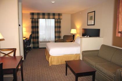 Holiday Inn Express Hotel & Suites Syracuse North Airport Area an IHG Hotel - image 6