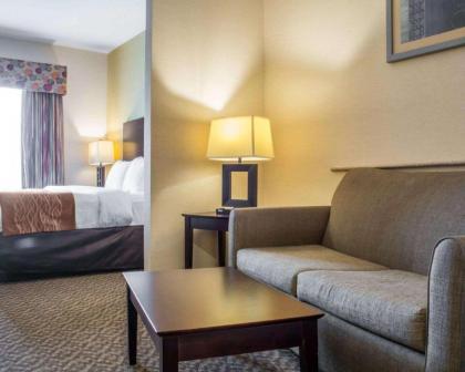 Comfort Suites Cicero - Syracuse North - image 12