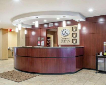 Comfort Suites Cicero - Syracuse North - image 14