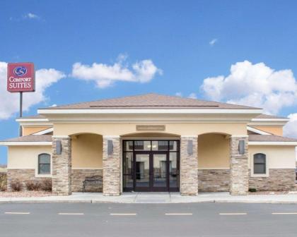 Comfort Suites Cicero - Syracuse North - image 5