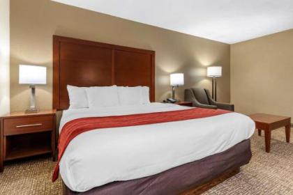 Comfort Inn & Suites Cincinnati Eastgate - image 3