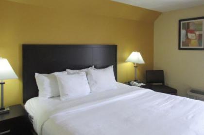 Quality Inn & Suites - image 4