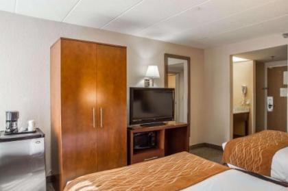 Comfort Inn Northeast Cincinnati - image 4