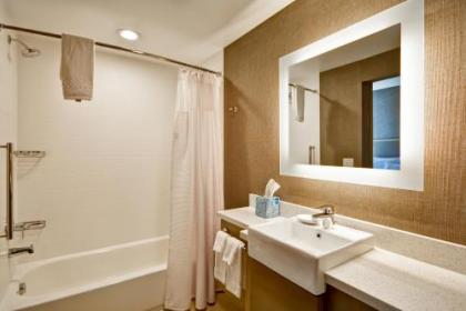 SpringHill Suites by Marriott Cincinnati Blue Ash - image 2