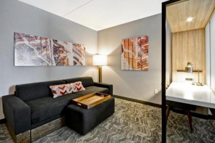 SpringHill Suites by Marriott Cincinnati Blue Ash - image 3