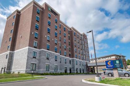 Comfort Suites Cincinnati University - Downtown - image 5