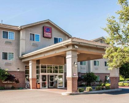 Comfort Suites Clackamas - image 4