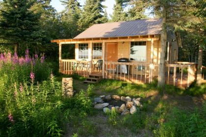 Clam Gulch Lodge - image 10