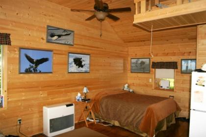 Clam Gulch Lodge - image 11