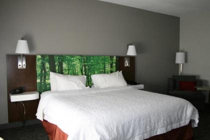 Hampton Inn Clarion - image 8