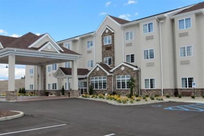 Microtel Inn & Suites by Wyndham Clarion - image 8