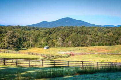 Peaceful High-End Clarkesville Apt on Horse Farm! - image 11