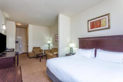 Holiday Inn Express Hotel & Suites Clarksville - image 5