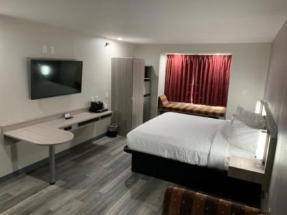 Microtel Inn and Suites Clarksville - image 3