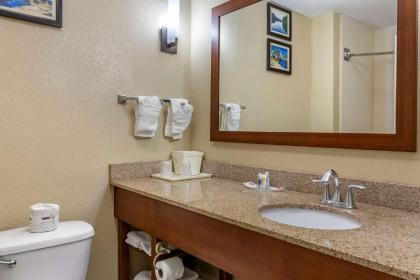 Comfort Suites Clayton - Garner - image 9