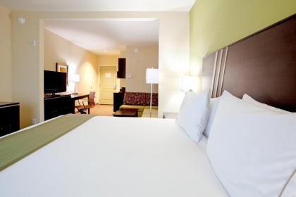 Holiday Inn Express Hotel & Suites Clemson - University Area an IHG Hotel - image 9