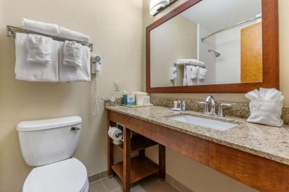 Comfort Inn & Suites Clemson - University Area - image 15