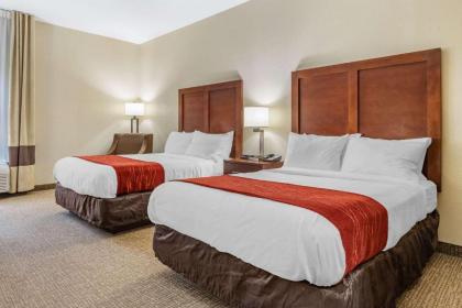 Comfort Inn & Suites Clemson - University Area - image 3