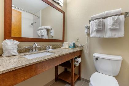 Comfort Inn & Suites Clemson - University Area - image 6