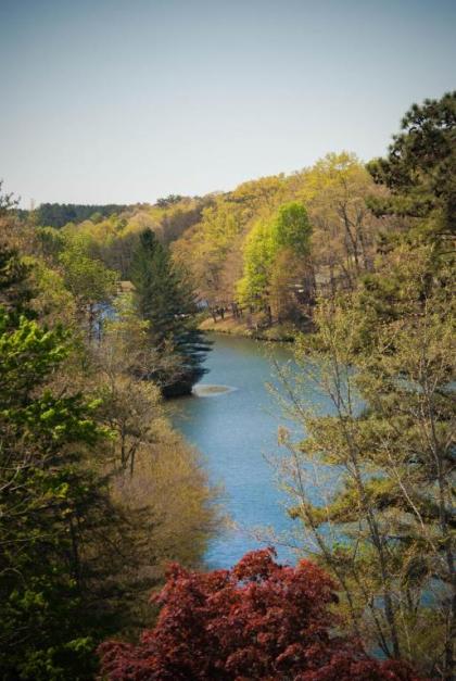 Country Hideaway at Mountain Lakes Resort - image 8