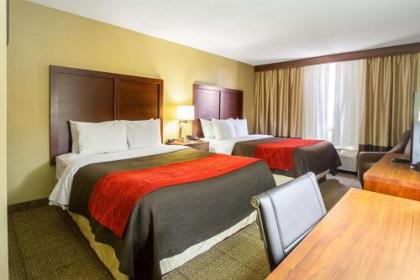 Comfort Inn Downtown Cleveland - image 2