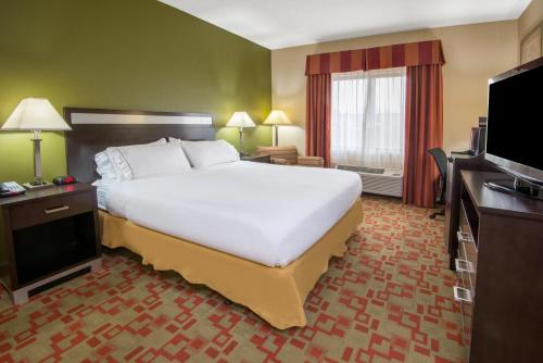 Holiday Inn Express Brookpark-Cleveland Airport Hotel - image 3