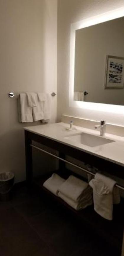 Four Points by Sheraton Cleveland-Eastlake - image 3