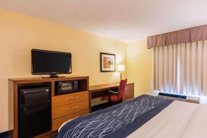 Comfort Inn Washington DC Joint Andrews AFB - image 12