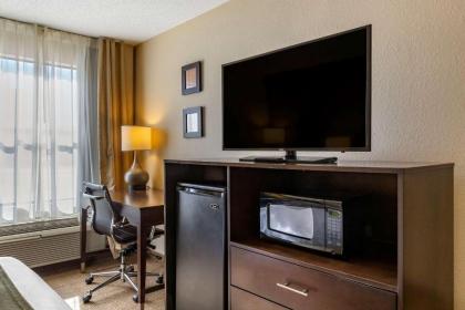 Comfort Inn Clinton - image 11