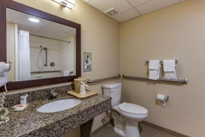 Comfort Inn Clinton - image 13