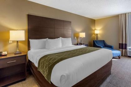 Comfort Inn Clinton - image 14