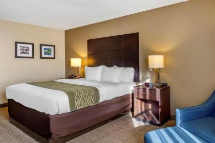 Comfort Inn Clinton - image 15