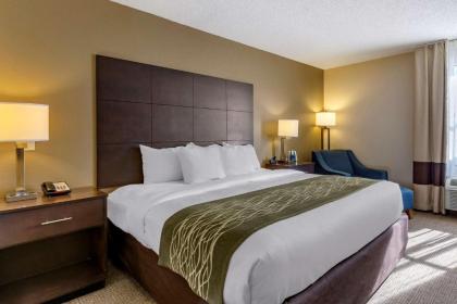 Comfort Inn Clinton - image 9