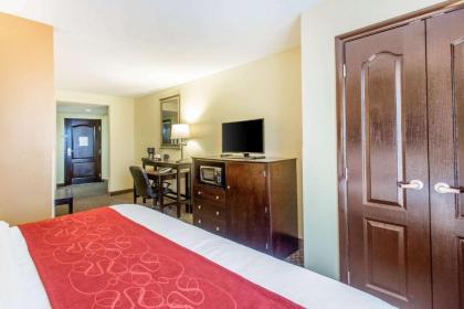 Comfort Suites Clinton - image 9